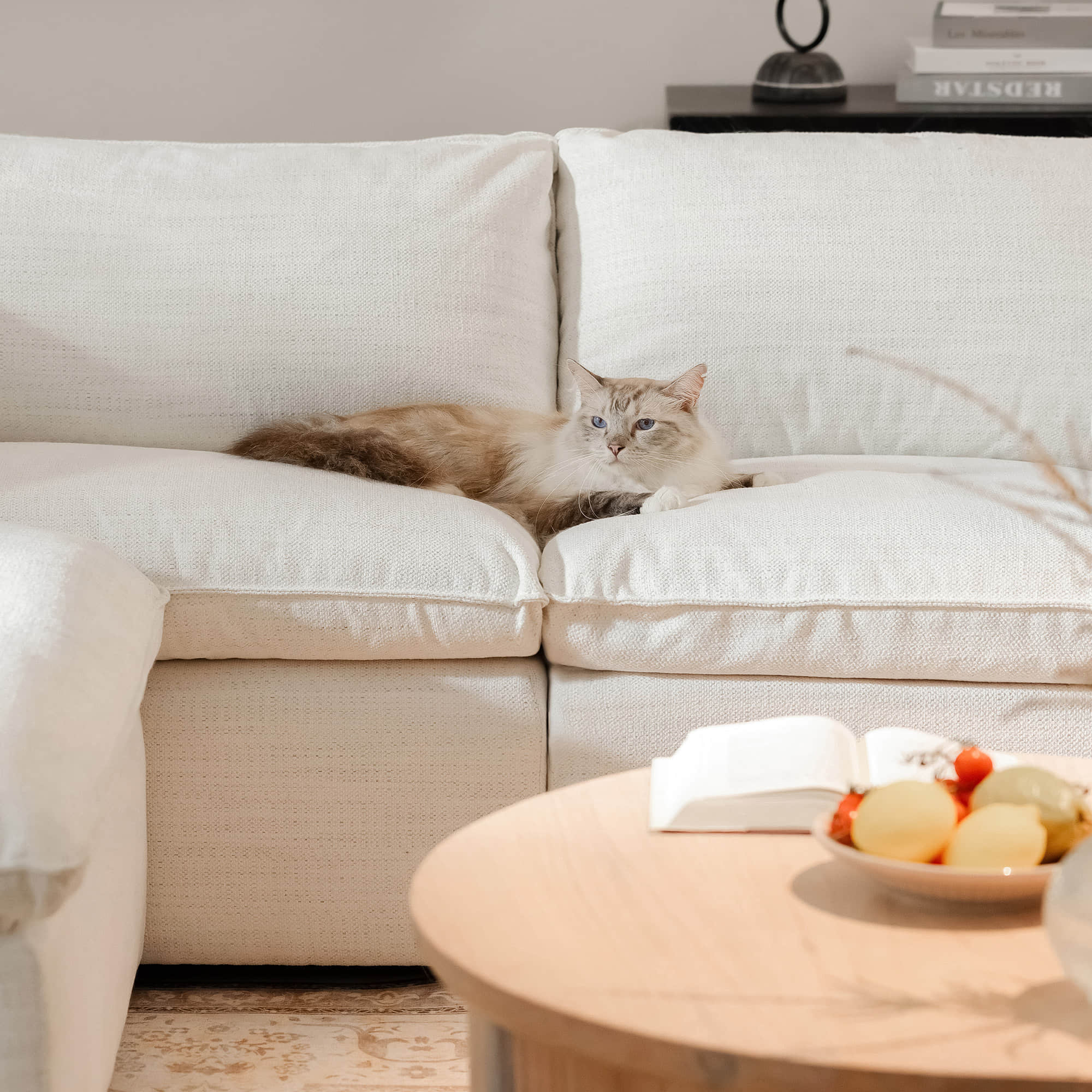 Sophia 5-Piece Feather Modular Sofa - Image 4