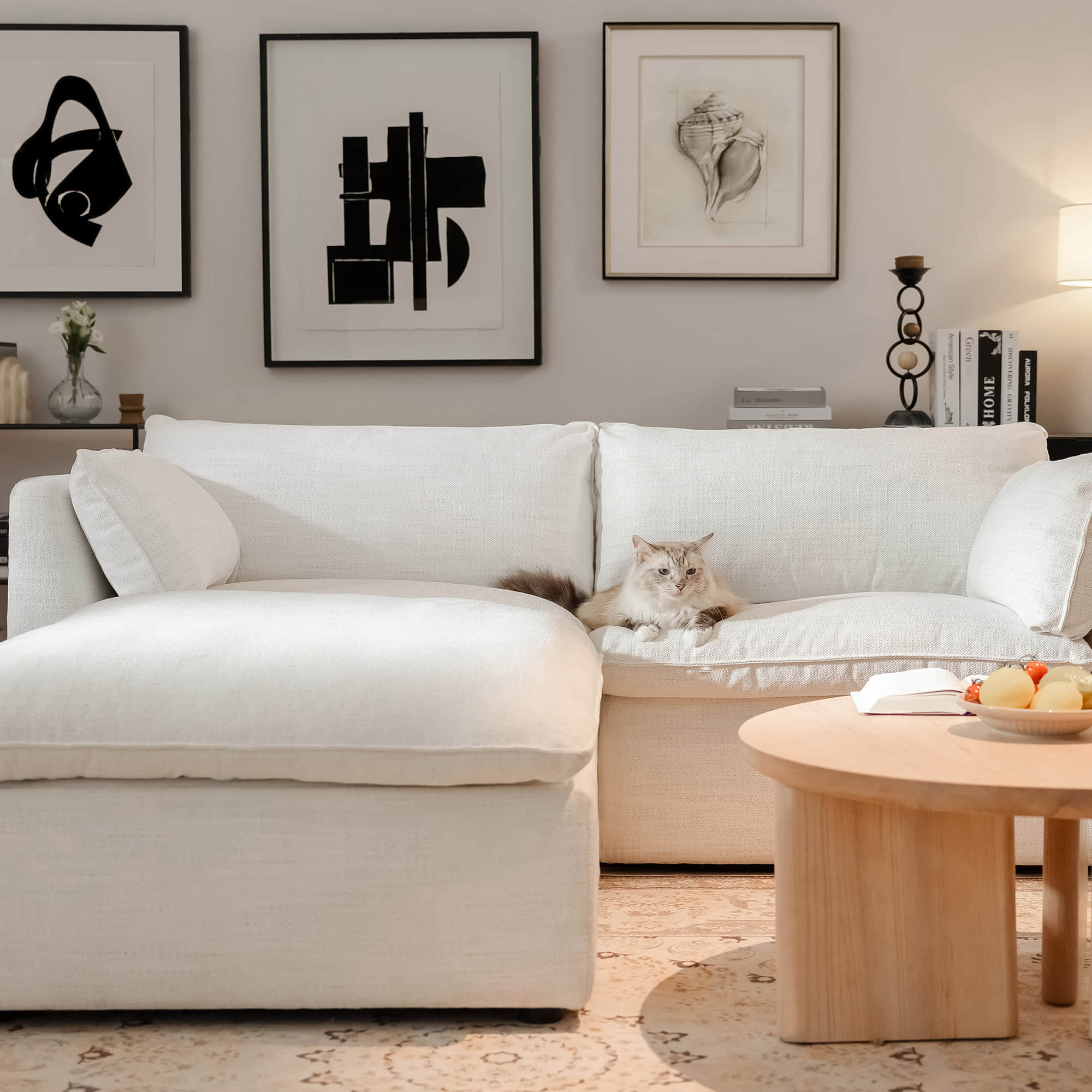 Sophia 3-Piece Feather Modular Sofa - Image 4